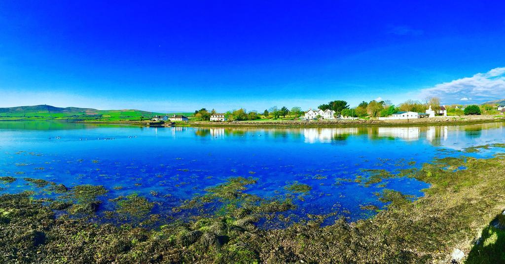Milltown House Dingle Otel Dış mekan fotoğraf