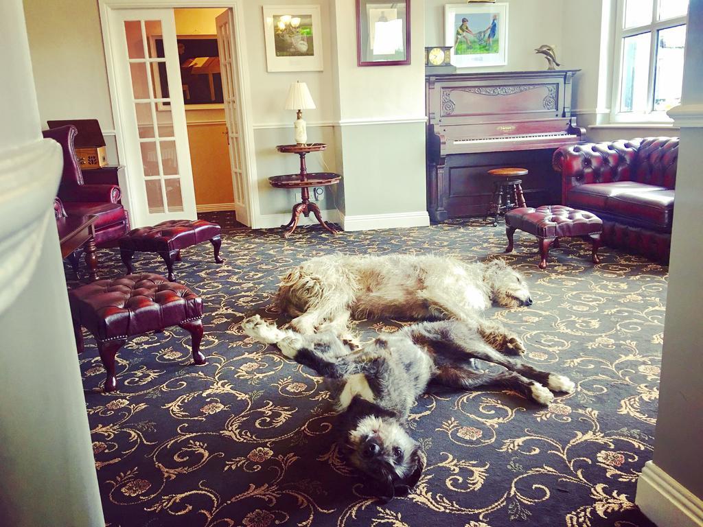 Milltown House Dingle Otel Dış mekan fotoğraf